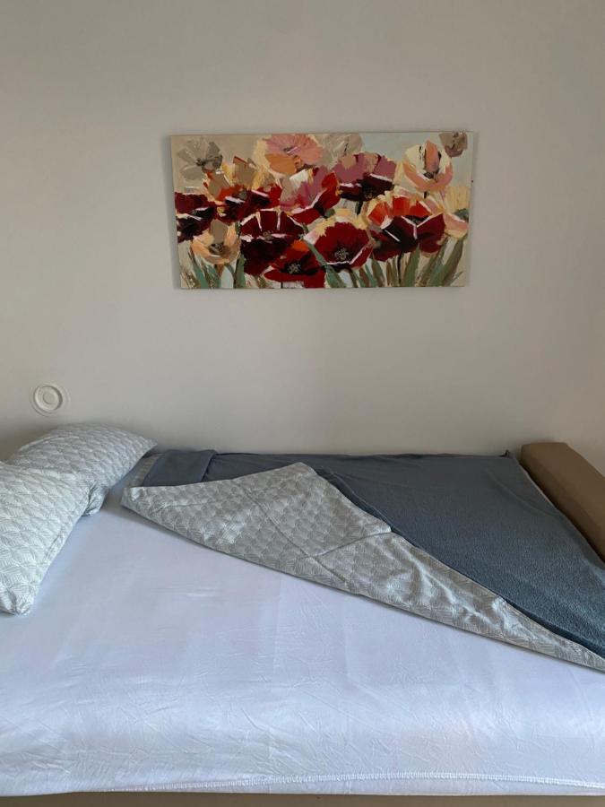 Apartman Colapis- Self Check In, Free Parking, Premium Location! Károlyváros Kültér fotó